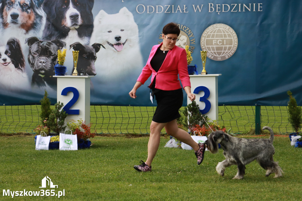 Fotorelacja II: Krajowa Wystawa Psów Rasowych w Gniazdowie Gmina Koziegłowy