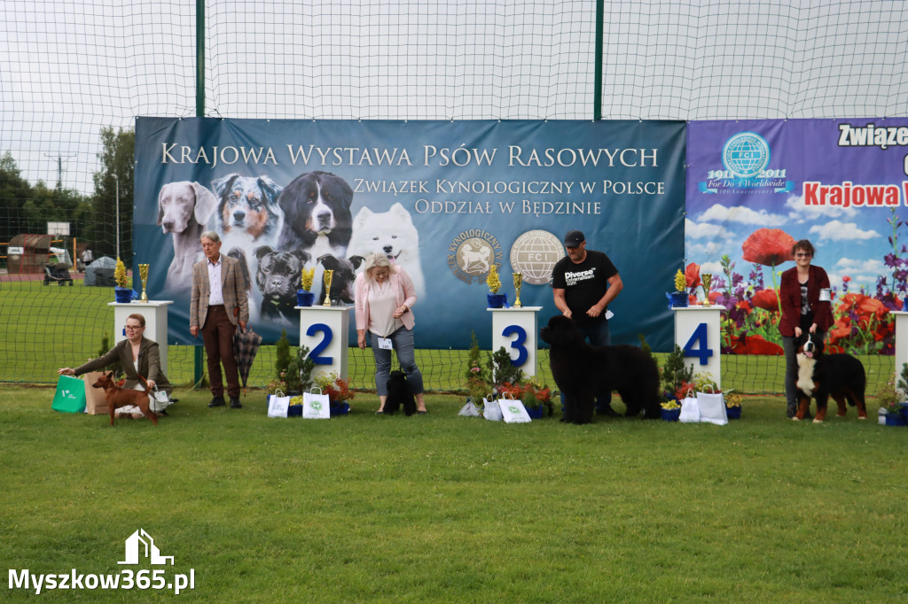 Fotorelacja II: Krajowa Wystawa Psów Rasowych w Gniazdowie Gmina Koziegłowy