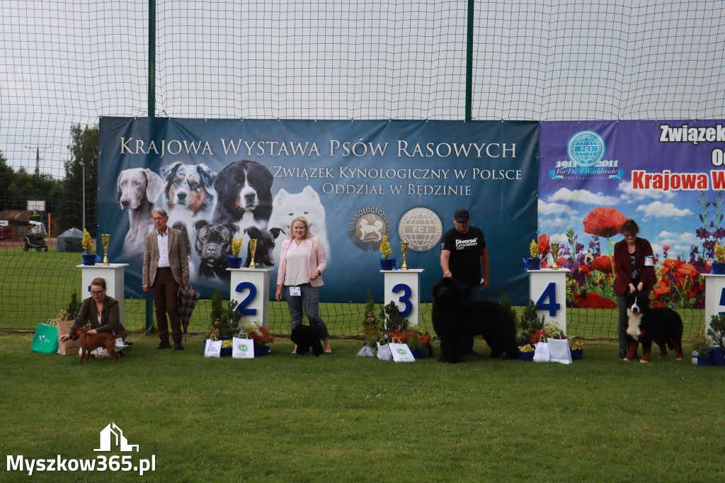Fotorelacja II: Krajowa Wystawa Psów Rasowych w Gniazdowie Gmina Koziegłowy
