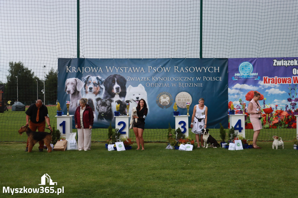 Fotorelacja II: Krajowa Wystawa Psów Rasowych w Gniazdowie Gmina Koziegłowy