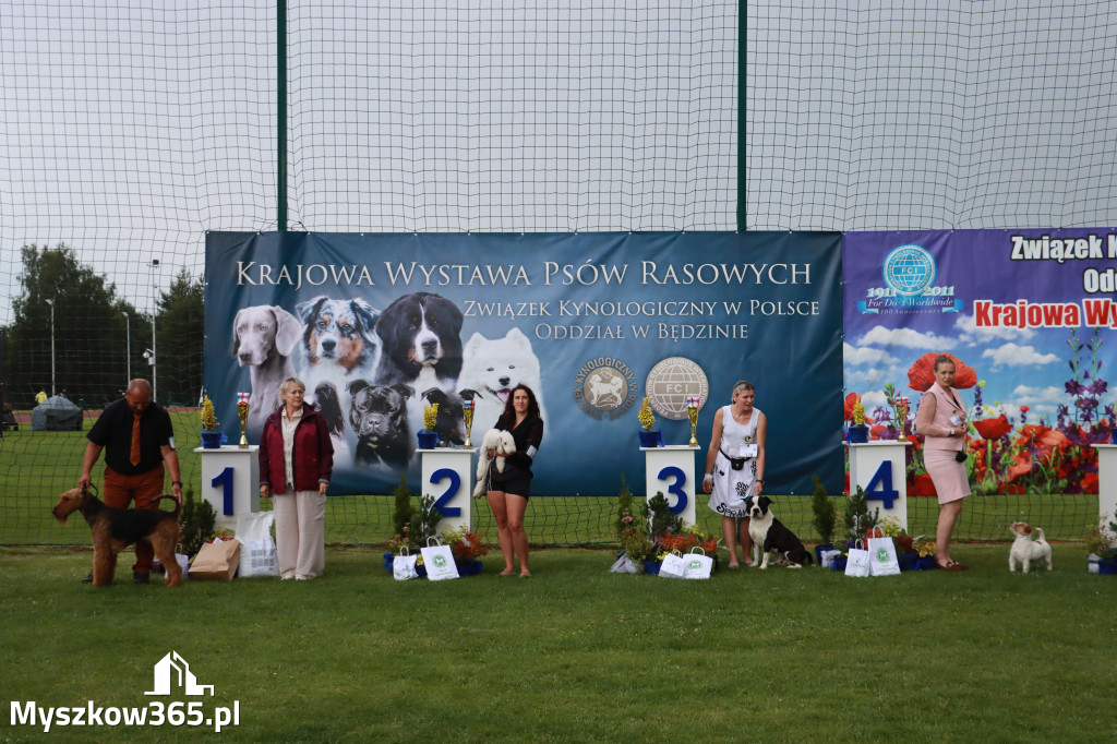 Fotorelacja II: Krajowa Wystawa Psów Rasowych w Gniazdowie Gmina Koziegłowy