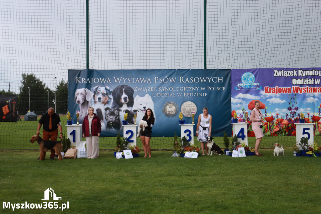 Fotorelacja II: Krajowa Wystawa Psów Rasowych w Gniazdowie Gmina Koziegłowy