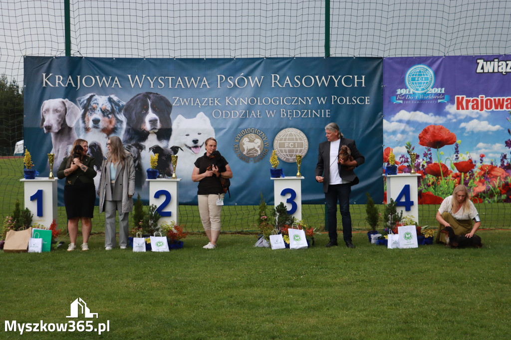 Fotorelacja II: Krajowa Wystawa Psów Rasowych w Gniazdowie Gmina Koziegłowy