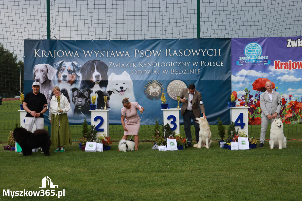 Fotorelacja II: Krajowa Wystawa Psów Rasowych w Gniazdowie Gmina Koziegłowy