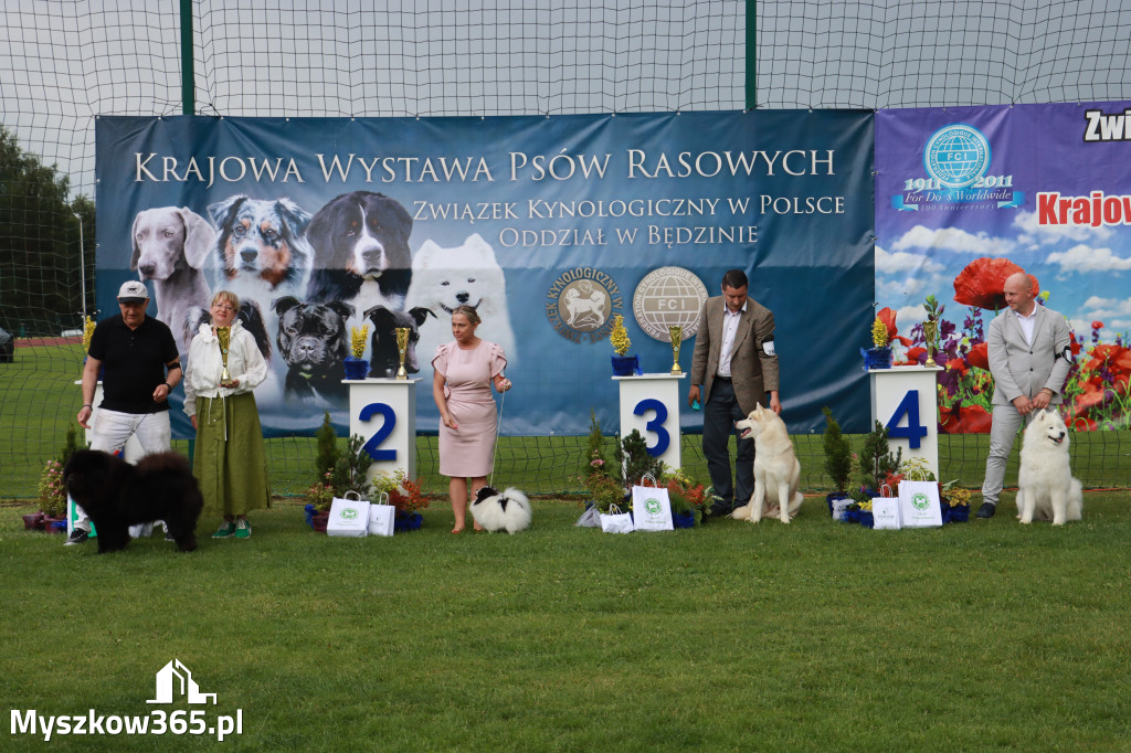 Fotorelacja II: Krajowa Wystawa Psów Rasowych w Gniazdowie Gmina Koziegłowy