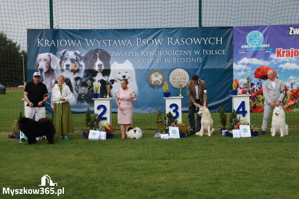 Fotorelacja II: Krajowa Wystawa Psów Rasowych w Gniazdowie Gmina Koziegłowy