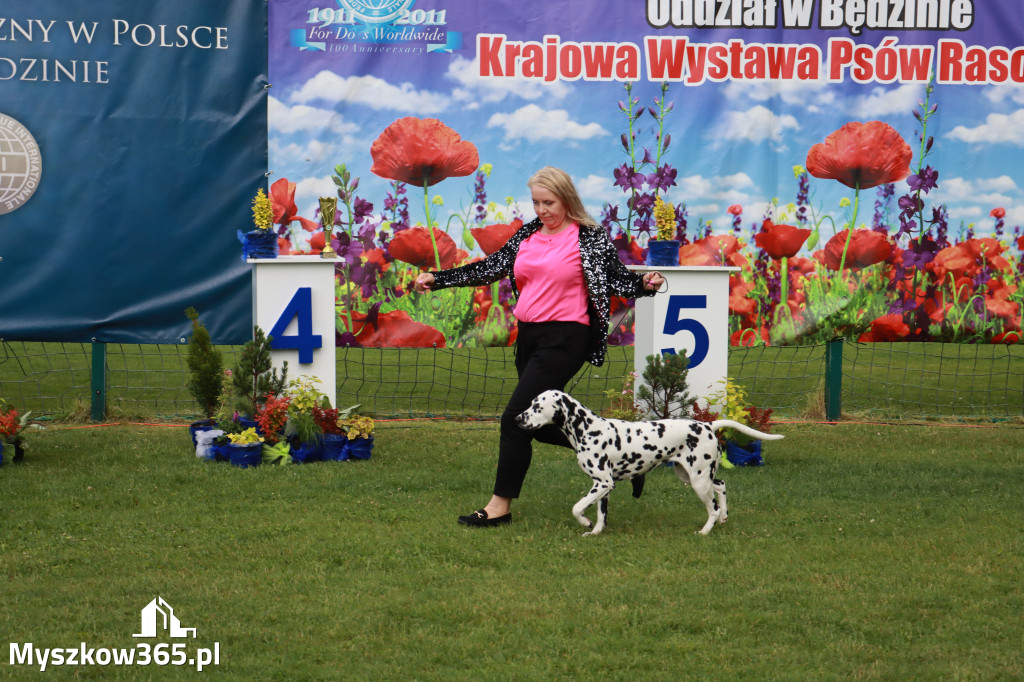 Fotorelacja II: Krajowa Wystawa Psów Rasowych w Gniazdowie Gmina Koziegłowy
