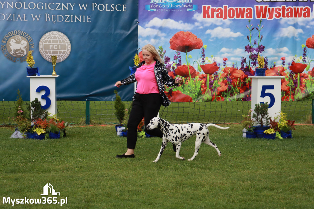 Fotorelacja II: Krajowa Wystawa Psów Rasowych w Gniazdowie Gmina Koziegłowy
