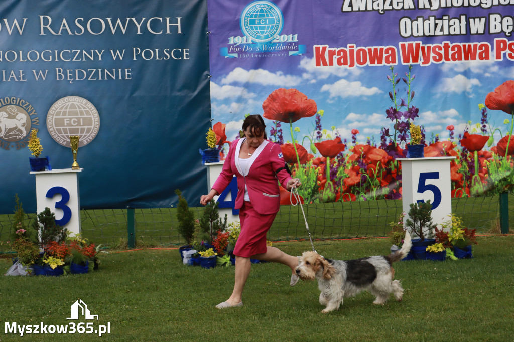 Fotorelacja II: Krajowa Wystawa Psów Rasowych w Gniazdowie Gmina Koziegłowy