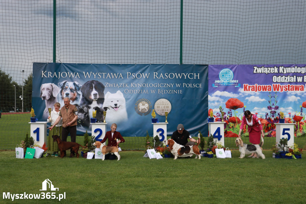 Fotorelacja II: Krajowa Wystawa Psów Rasowych w Gniazdowie Gmina Koziegłowy
