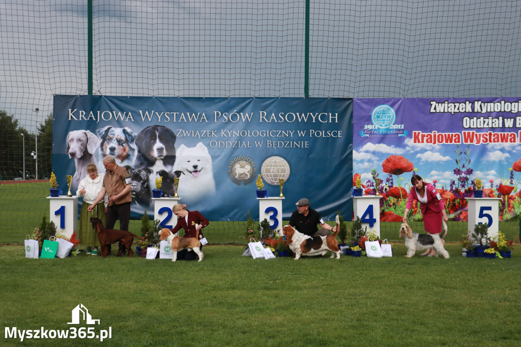 Fotorelacja II: Krajowa Wystawa Psów Rasowych w Gniazdowie Gmina Koziegłowy