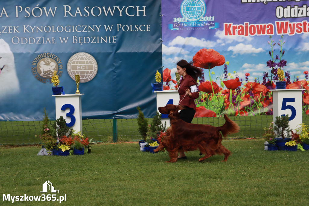 Fotorelacja II: Krajowa Wystawa Psów Rasowych w Gniazdowie Gmina Koziegłowy