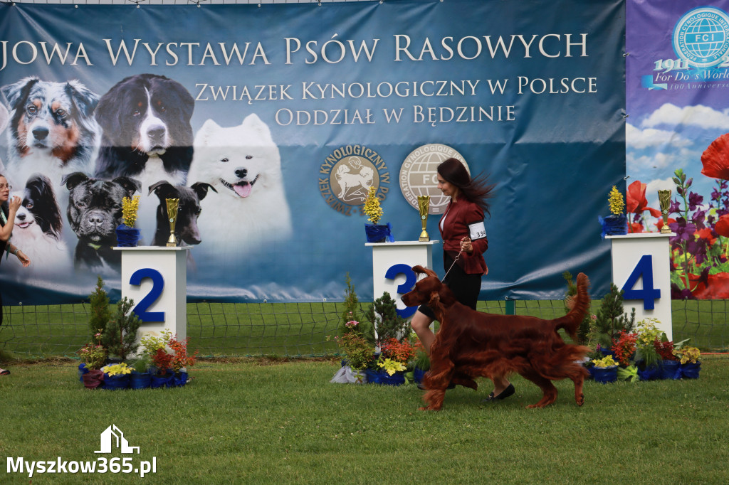 Fotorelacja II: Krajowa Wystawa Psów Rasowych w Gniazdowie Gmina Koziegłowy