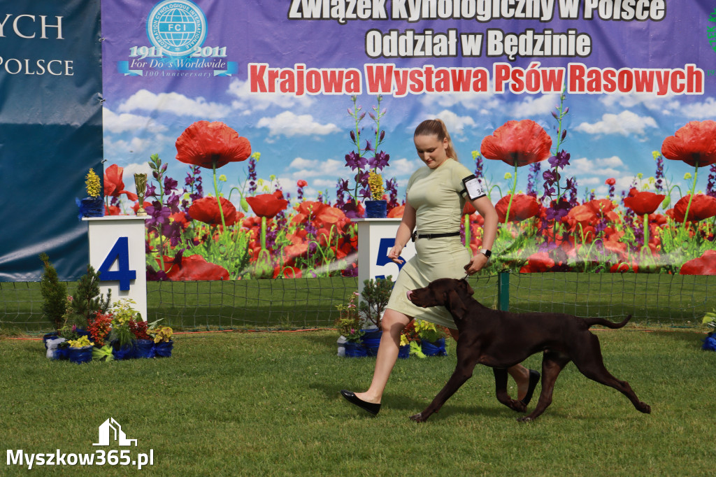 Fotorelacja II: Krajowa Wystawa Psów Rasowych w Gniazdowie Gmina Koziegłowy