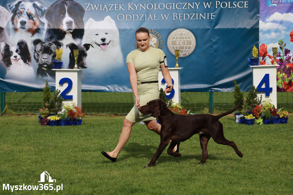 Fotorelacja II: Krajowa Wystawa Psów Rasowych w Gniazdowie Gmina Koziegłowy