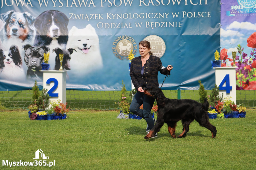 Fotorelacja II: Krajowa Wystawa Psów Rasowych w Gniazdowie Gmina Koziegłowy