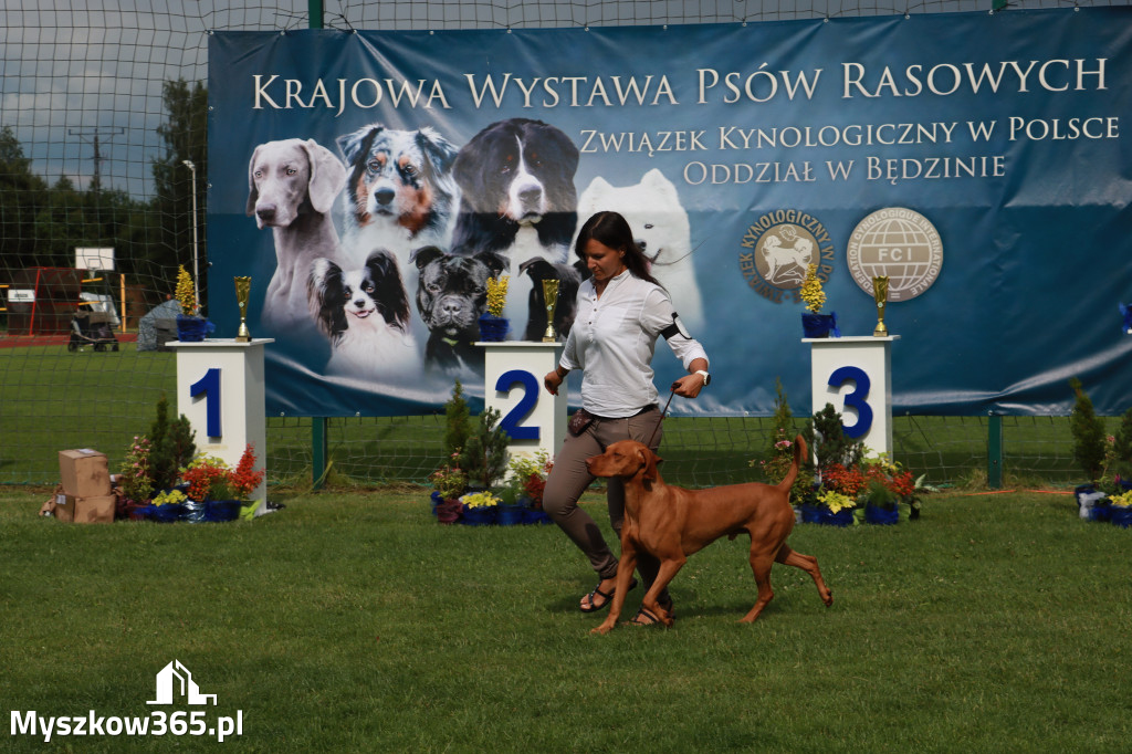 Fotorelacja II: Krajowa Wystawa Psów Rasowych w Gniazdowie Gmina Koziegłowy