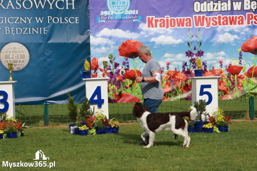 Fotorelacja II: Krajowa Wystawa Psów Rasowych w Gniazdowie Gmina Koziegłowy