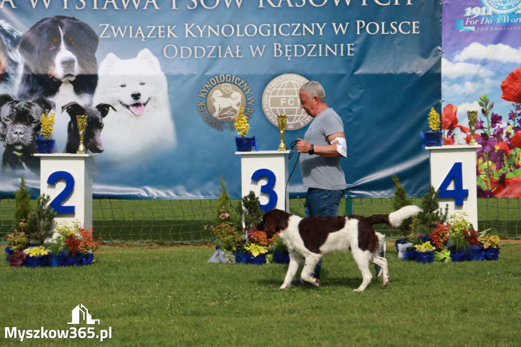 Fotorelacja II: Krajowa Wystawa Psów Rasowych w Gniazdowie Gmina Koziegłowy