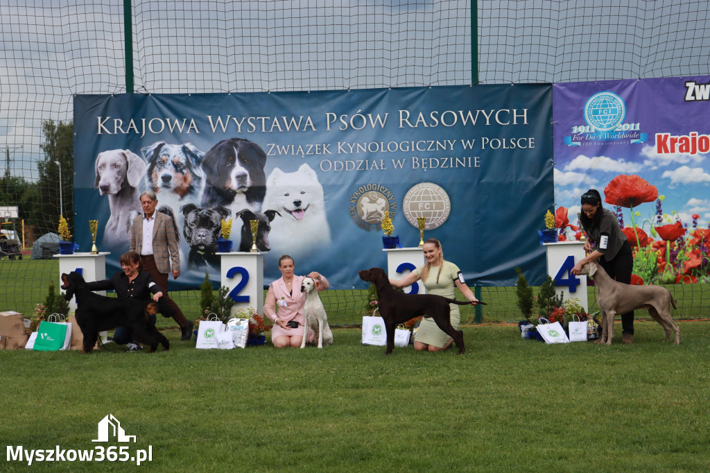 Fotorelacja II: Krajowa Wystawa Psów Rasowych w Gniazdowie Gmina Koziegłowy