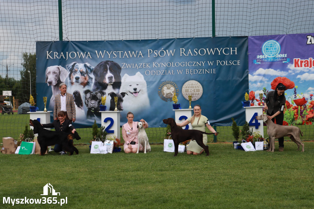 Fotorelacja II: Krajowa Wystawa Psów Rasowych w Gniazdowie Gmina Koziegłowy