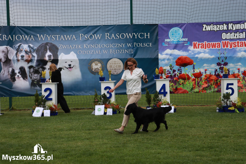 Fotorelacja II: Krajowa Wystawa Psów Rasowych w Gniazdowie Gmina Koziegłowy
