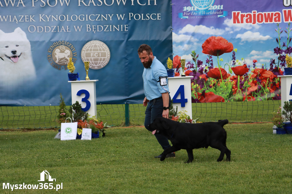 Fotorelacja II: Krajowa Wystawa Psów Rasowych w Gniazdowie Gmina Koziegłowy
