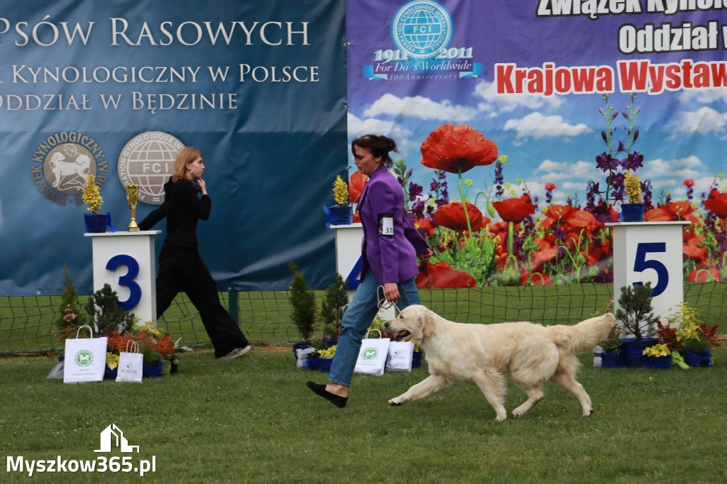 Fotorelacja II: Krajowa Wystawa Psów Rasowych w Gniazdowie Gmina Koziegłowy