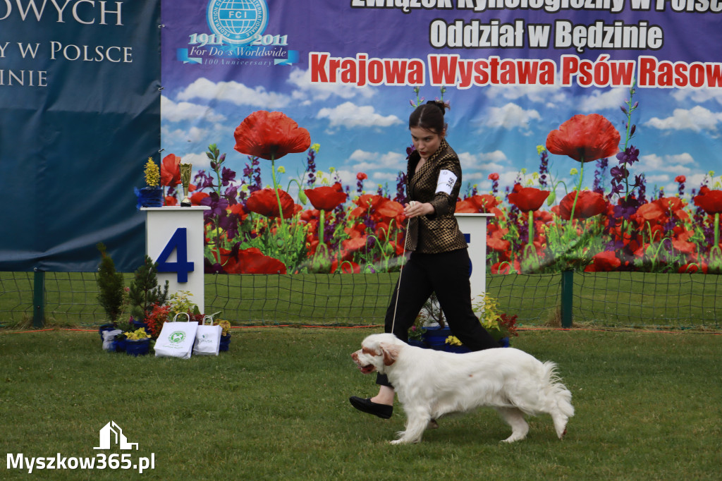Fotorelacja II: Krajowa Wystawa Psów Rasowych w Gniazdowie Gmina Koziegłowy