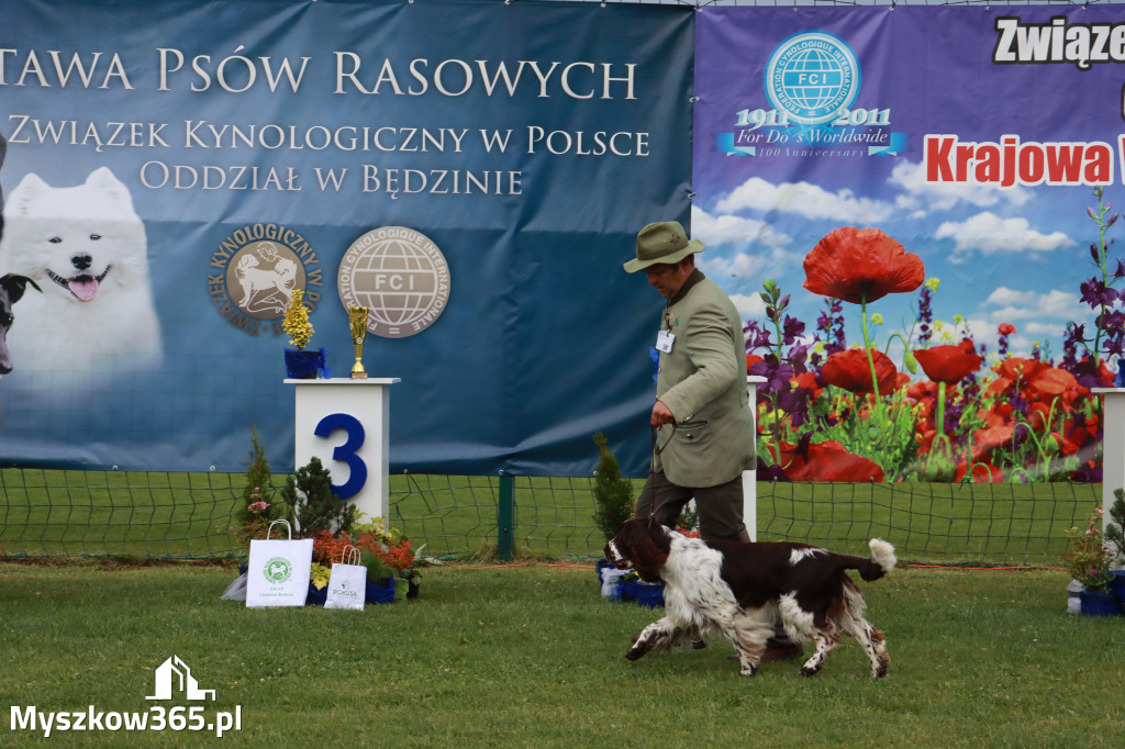 Fotorelacja II: Krajowa Wystawa Psów Rasowych w Gniazdowie Gmina Koziegłowy