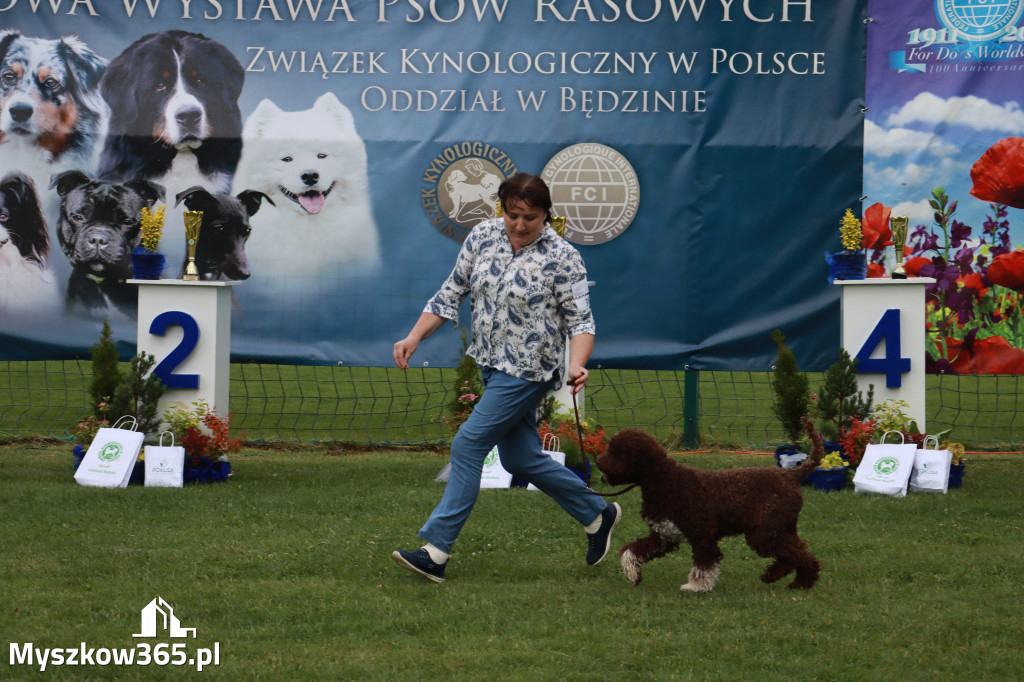 Fotorelacja II: Krajowa Wystawa Psów Rasowych w Gniazdowie Gmina Koziegłowy