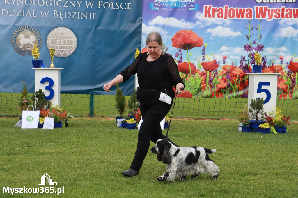 Fotorelacja II: Krajowa Wystawa Psów Rasowych w Gniazdowie Gmina Koziegłowy
