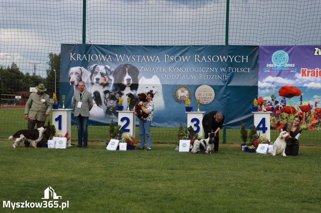 Fotorelacja II: Krajowa Wystawa Psów Rasowych w Gniazdowie Gmina Koziegłowy