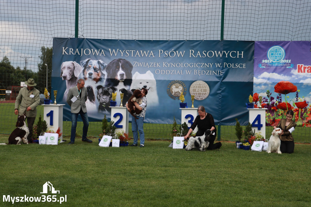 Fotorelacja II: Krajowa Wystawa Psów Rasowych w Gniazdowie Gmina Koziegłowy