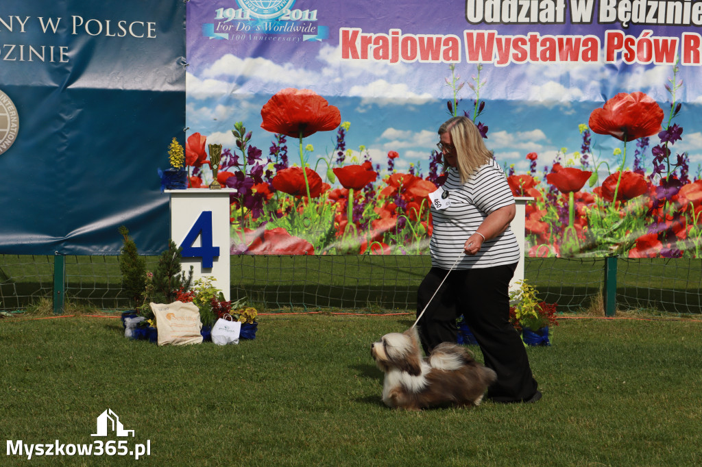 Fotorelacja II: Krajowa Wystawa Psów Rasowych w Gniazdowie Gmina Koziegłowy