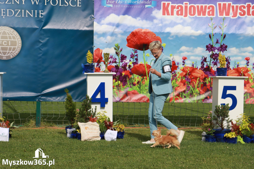 Fotorelacja II: Krajowa Wystawa Psów Rasowych w Gniazdowie Gmina Koziegłowy