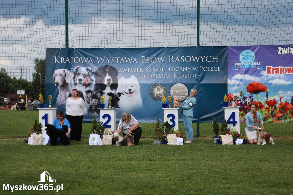Fotorelacja II: Krajowa Wystawa Psów Rasowych w Gniazdowie Gmina Koziegłowy