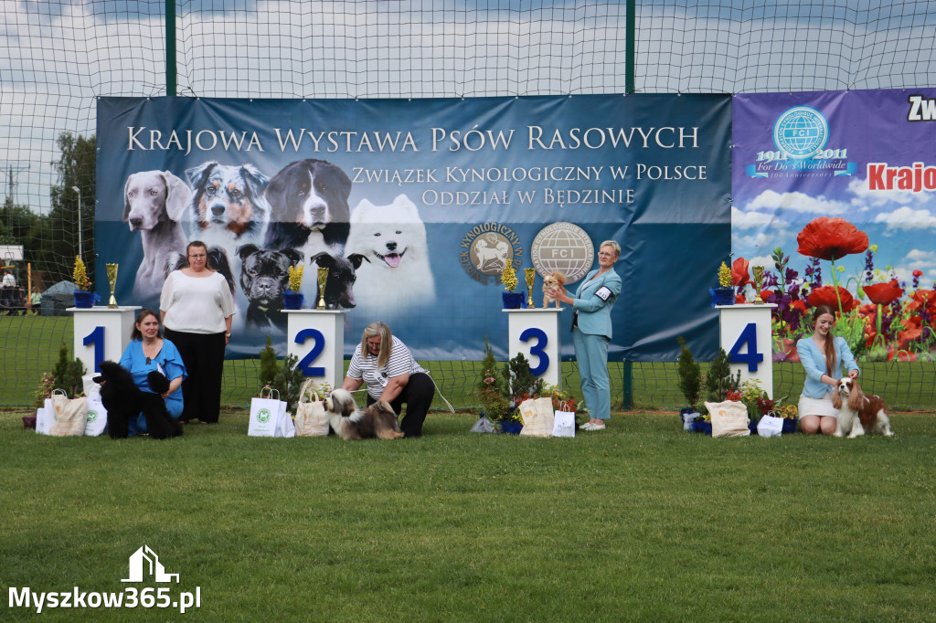 Fotorelacja II: Krajowa Wystawa Psów Rasowych w Gniazdowie Gmina Koziegłowy