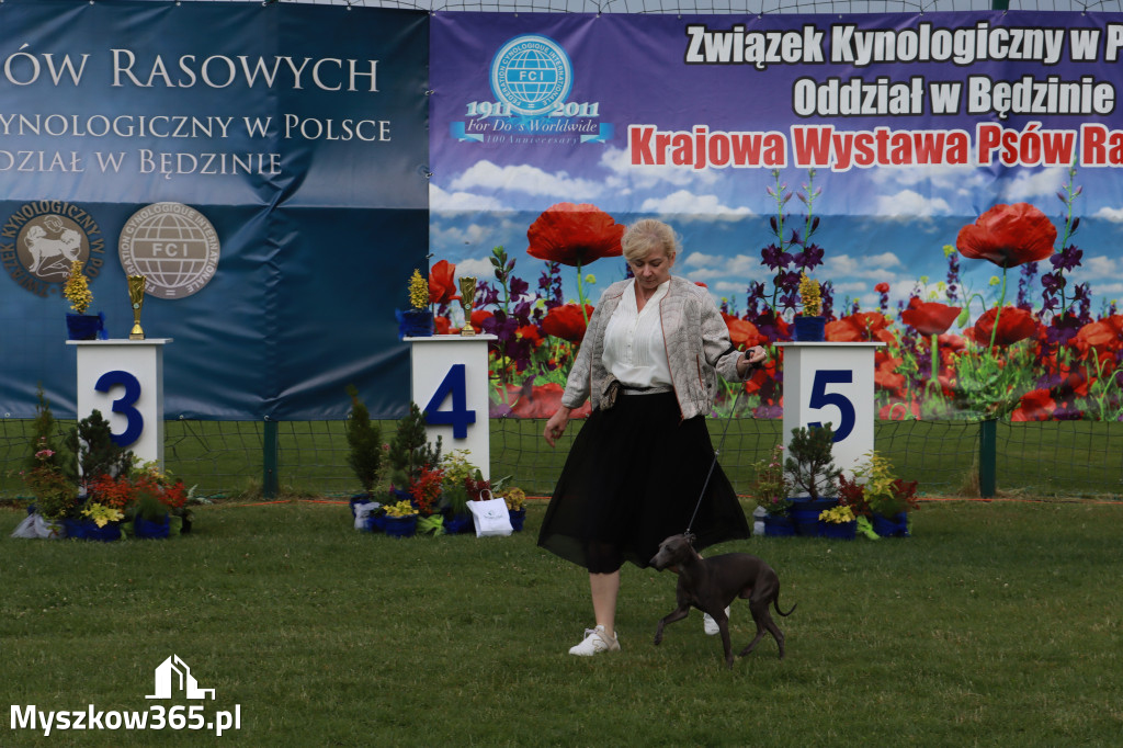 Fotorelacja II: Krajowa Wystawa Psów Rasowych w Gniazdowie Gmina Koziegłowy