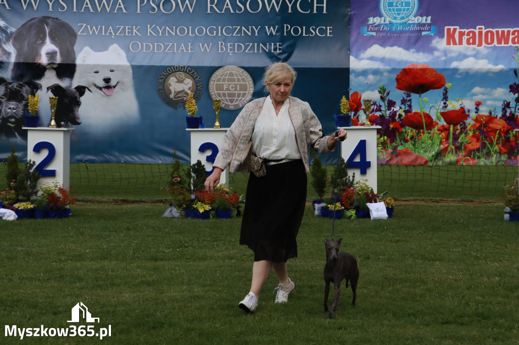 Fotorelacja II: Krajowa Wystawa Psów Rasowych w Gniazdowie Gmina Koziegłowy