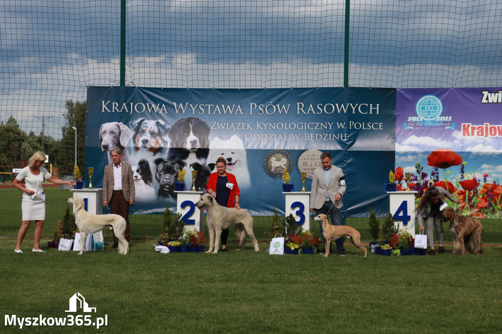 Fotorelacja II: Krajowa Wystawa Psów Rasowych w Gniazdowie Gmina Koziegłowy