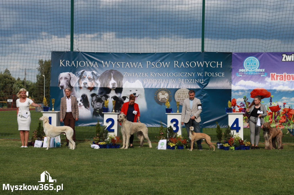 Fotorelacja II: Krajowa Wystawa Psów Rasowych w Gniazdowie Gmina Koziegłowy