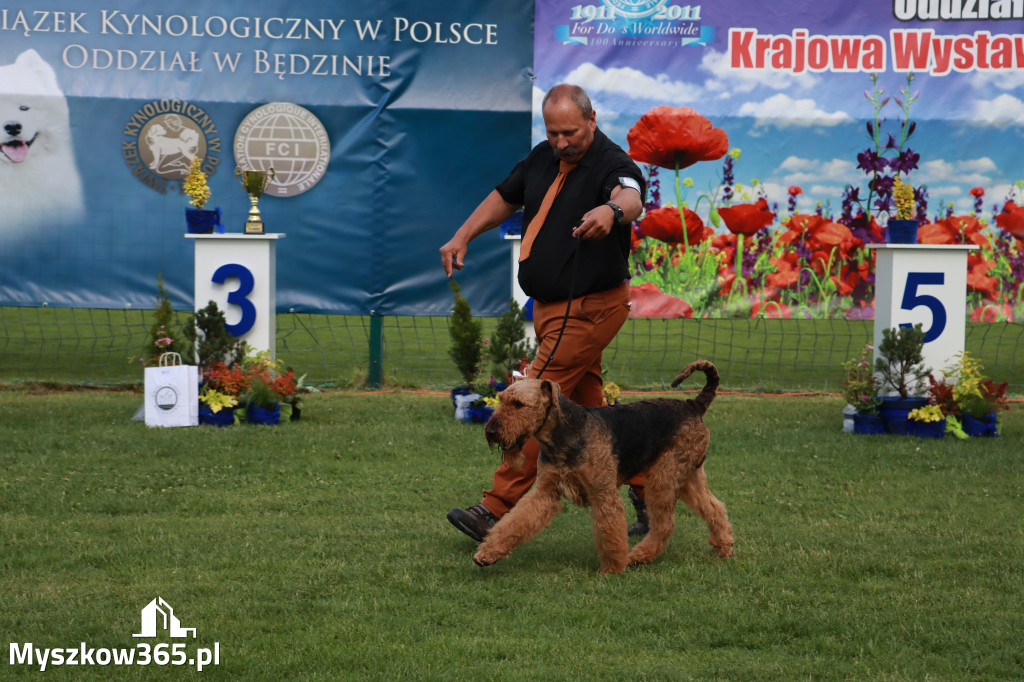 Fotorelacja II: Krajowa Wystawa Psów Rasowych w Gniazdowie Gmina Koziegłowy