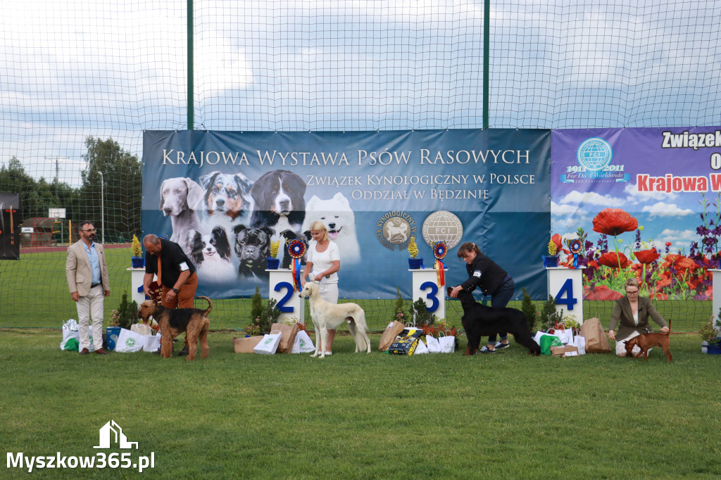 Fotorelacja II: Krajowa Wystawa Psów Rasowych w Gniazdowie Gmina Koziegłowy
