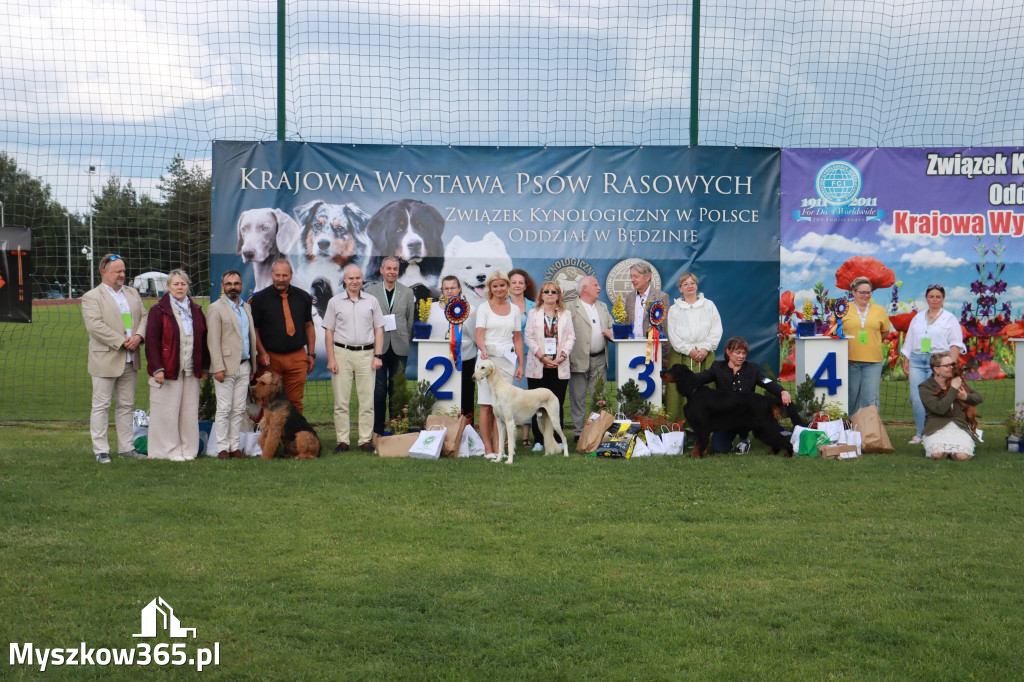 Fotorelacja II: Krajowa Wystawa Psów Rasowych w Gniazdowie Gmina Koziegłowy