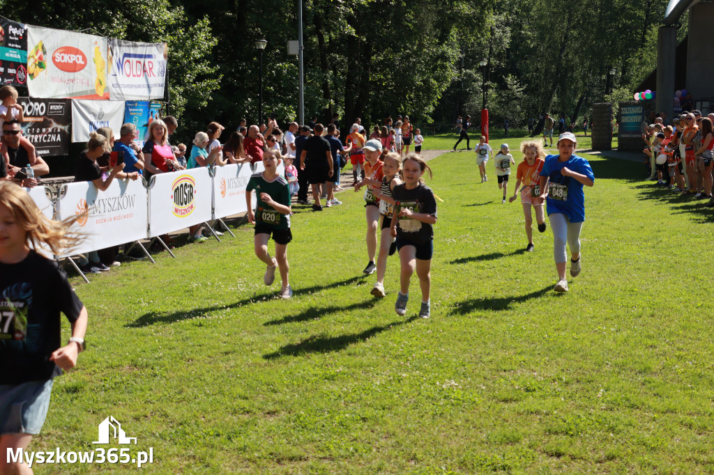 Fotorelacja I: 47. Międzynarodowy Bieg V Stawów w Myszkowie