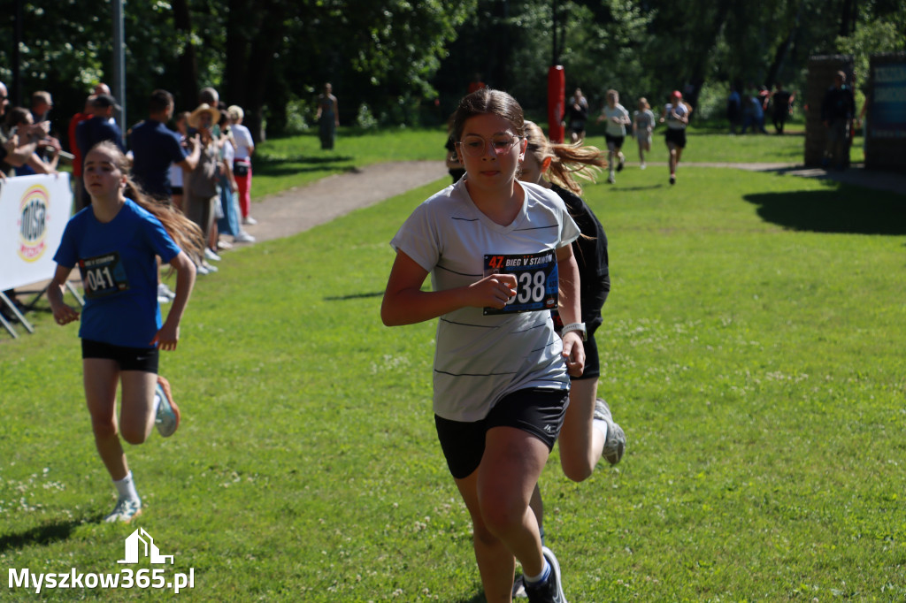 Fotorelacja I: 47. Międzynarodowy Bieg V Stawów w Myszkowie