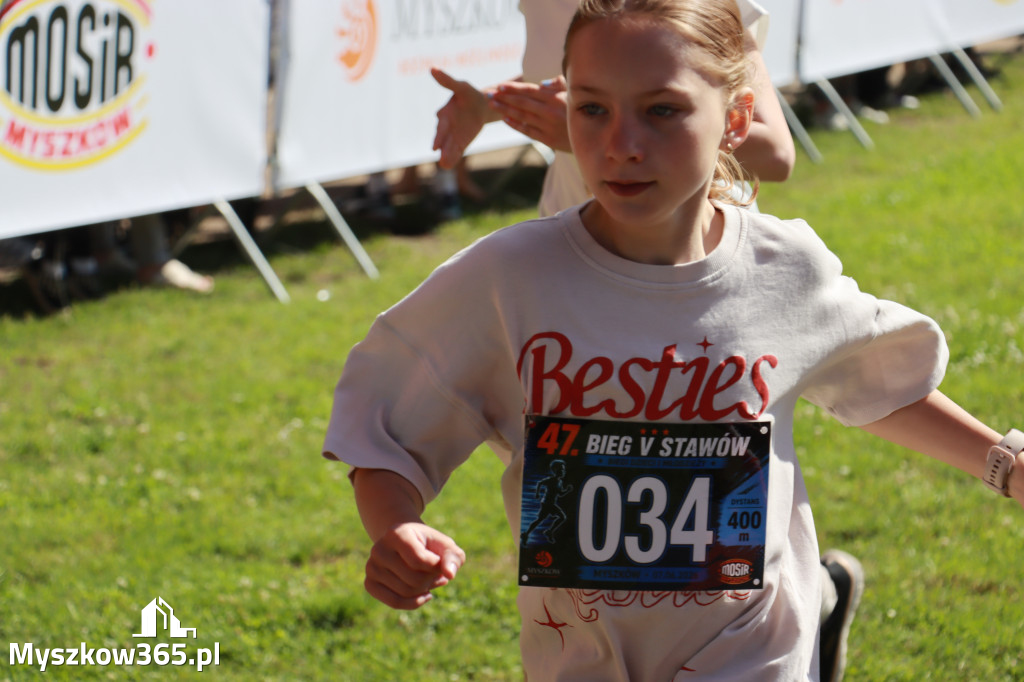 Fotorelacja I: 47. Międzynarodowy Bieg V Stawów w Myszkowie