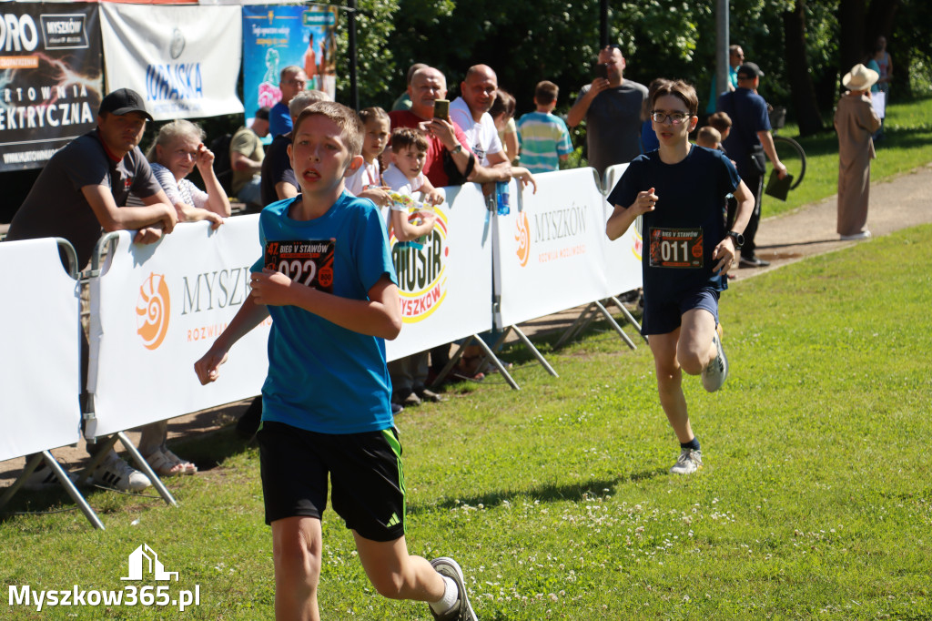 Fotorelacja I: 47. Międzynarodowy Bieg V Stawów w Myszkowie