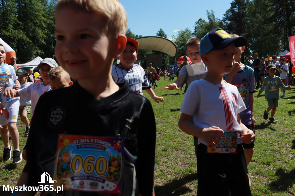 Fotorelacja I: 47. Międzynarodowy Bieg V Stawów w Myszkowie